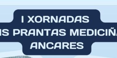 roteiro-prantas